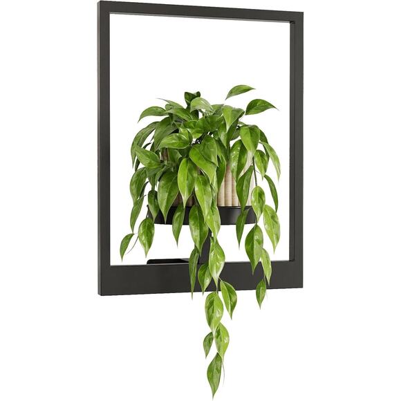 SwaaVee Wall Plant Frame Black Indoor or Outdoor NIB - Picture 8 of 8